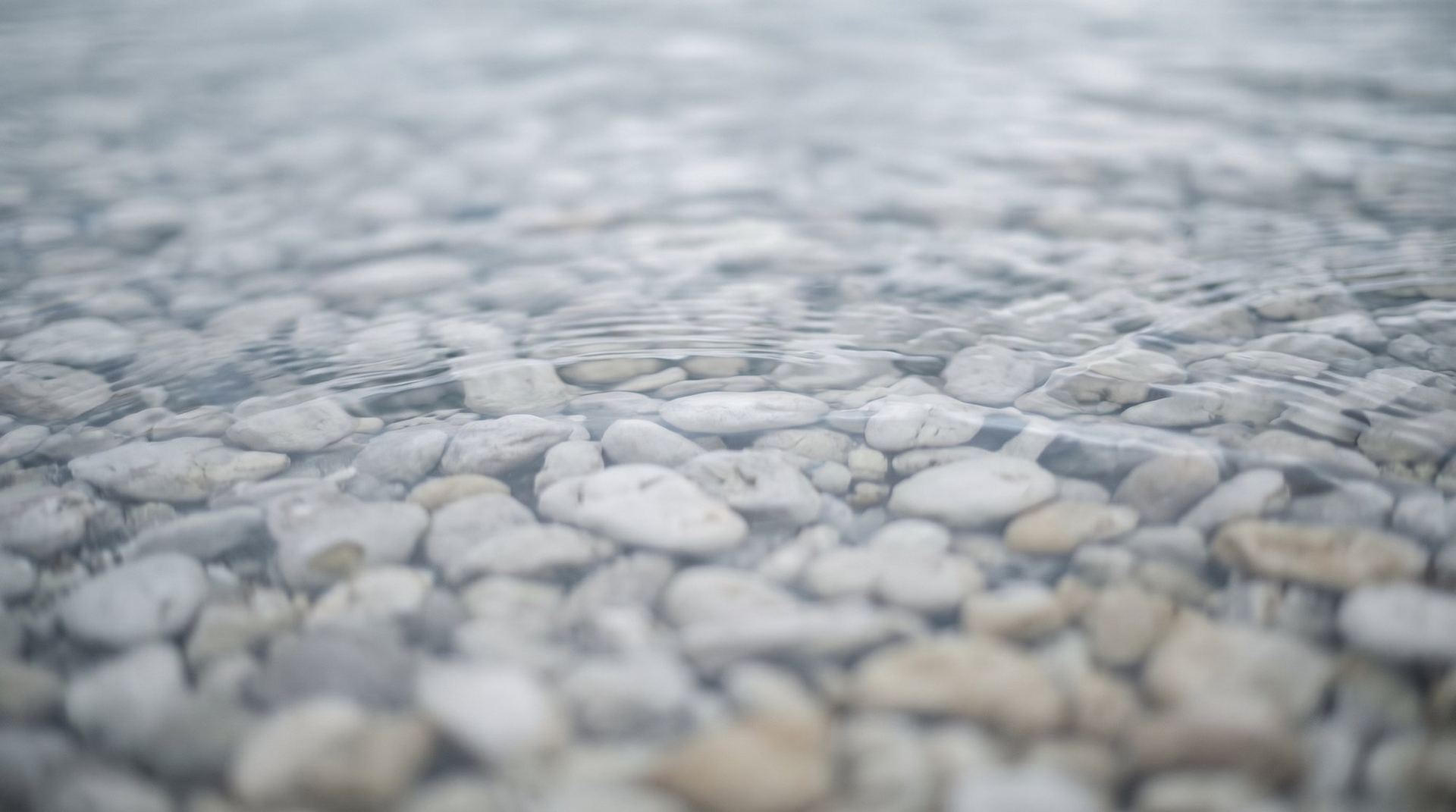 Smooth shingle under clear, shallow water