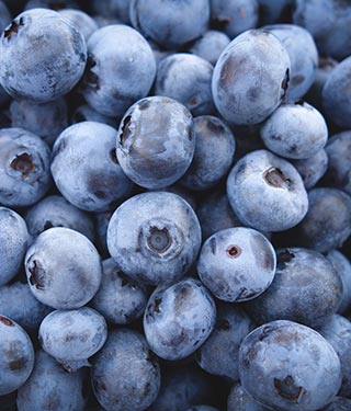 Blueberries for nutrition | Meyer Clinic