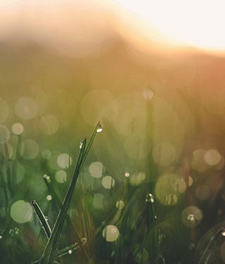 DUTCH testing treatment | Meyer Clinic