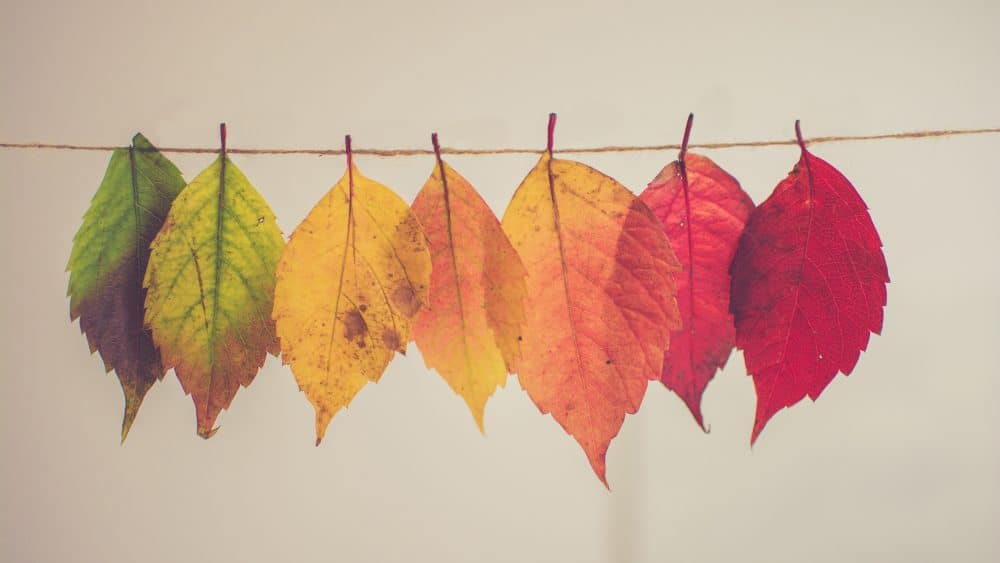 Skincare routines need to change with the seasons