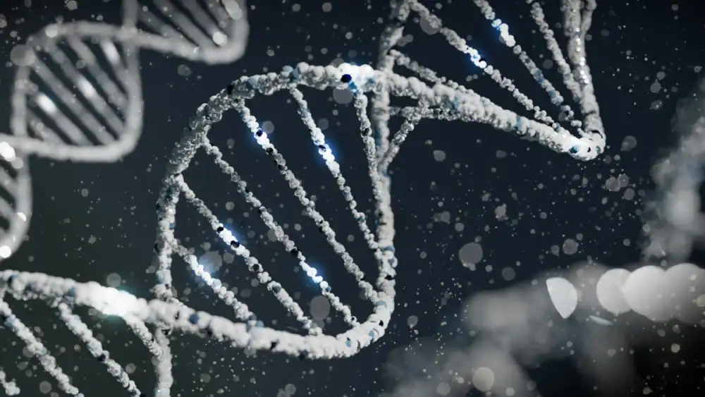 DNA Testing