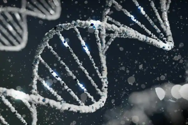 DNA Testing